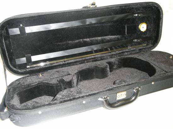 Violin Case (2).jpg